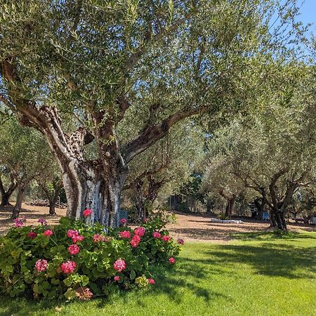 Anemochori Bungalows With Private Pools "Tales Of The Soul - Της Ψυχής Τα Παραμύθια" מראה חיצוני תמונה