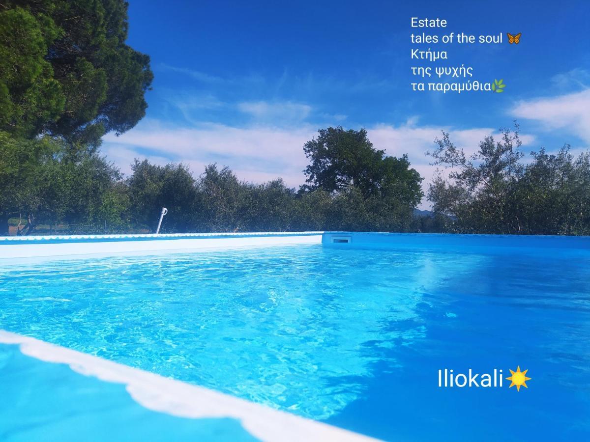 Anemochori Bungalows With Private Pools "Tales Of The Soul - Της Ψυχής Τα Παραμύθια" מראה חיצוני תמונה