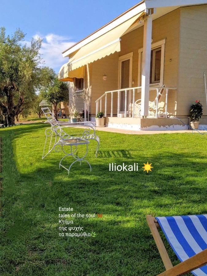 Anemochori Bungalows With Private Pools "Tales Of The Soul - Της Ψυχής Τα Παραμύθια" מראה חיצוני תמונה