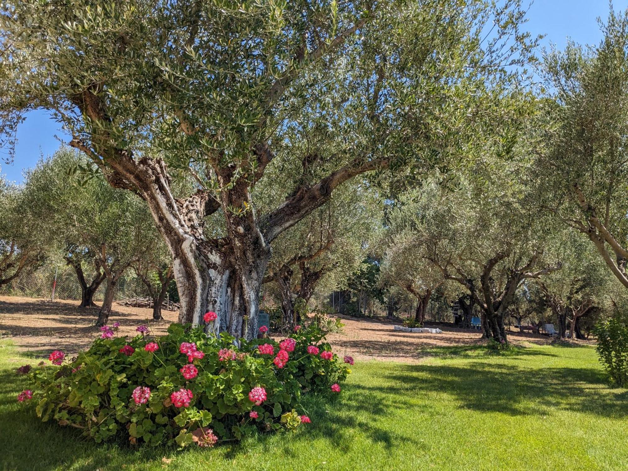 Anemochori Bungalows With Private Pools "Tales Of The Soul - Της Ψυχής Τα Παραμύθια" מראה חיצוני תמונה